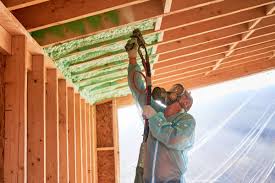 Professional Insulation Removal & Installation in Prospect Park, PA